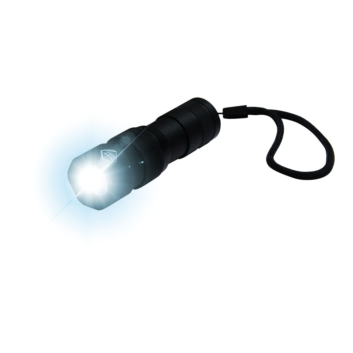Taschenlampe mit Alarm