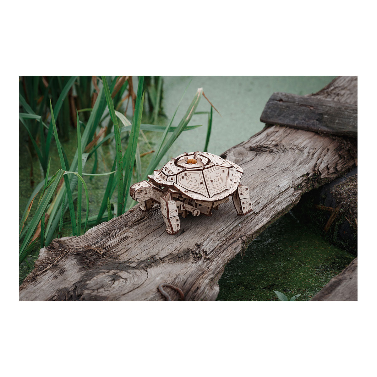 3D-Holzpuzzle, Mechanische Schildkröte