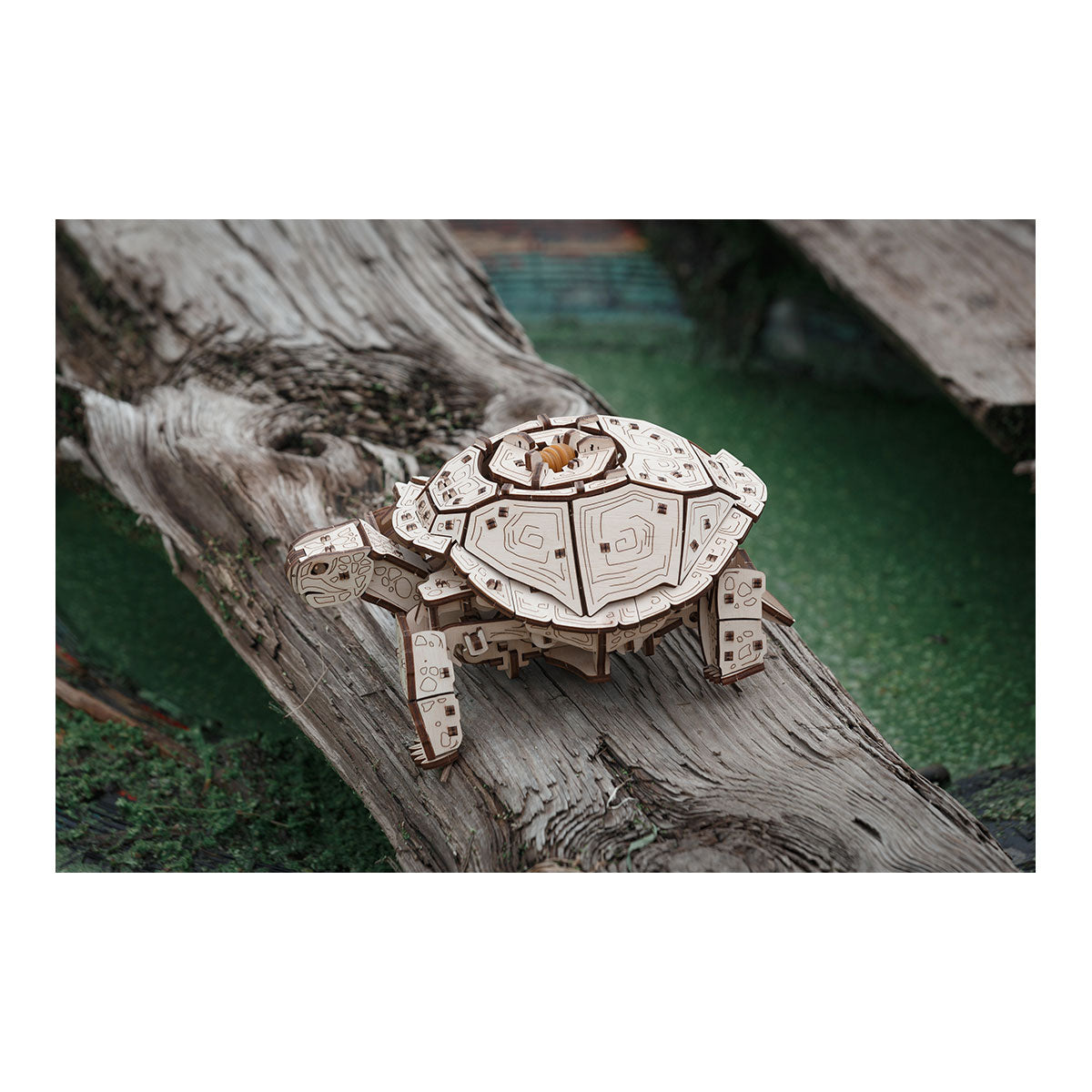3D-Holzpuzzle, Mechanische Schildkröte