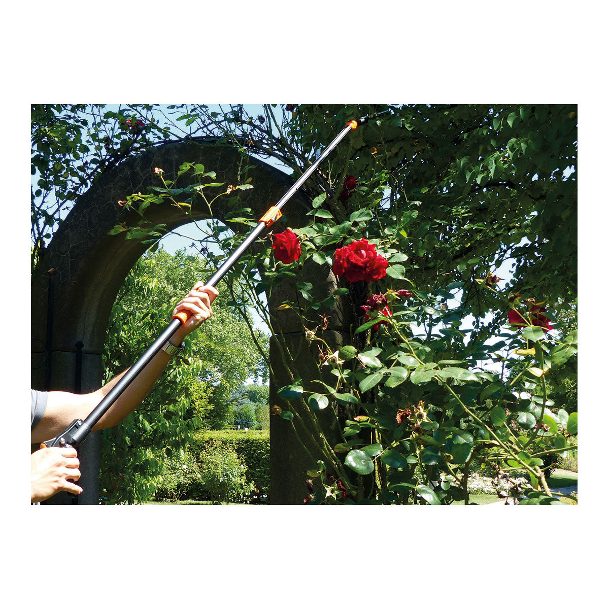 Rosenkavalier – Rosen-Schere, teleskopierbar