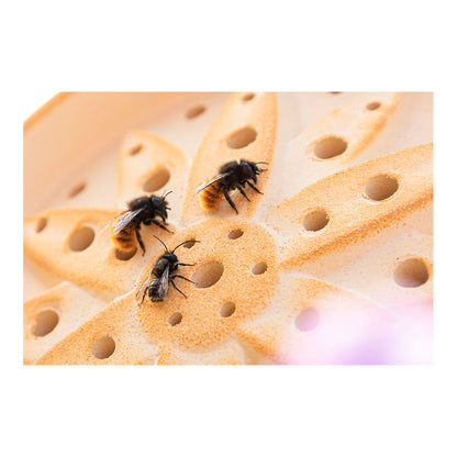 Wildbienenhaus Blume aus CeraNatur®-Keramik – Artgerechte Nisthilfe für bedrohte Bestäuber