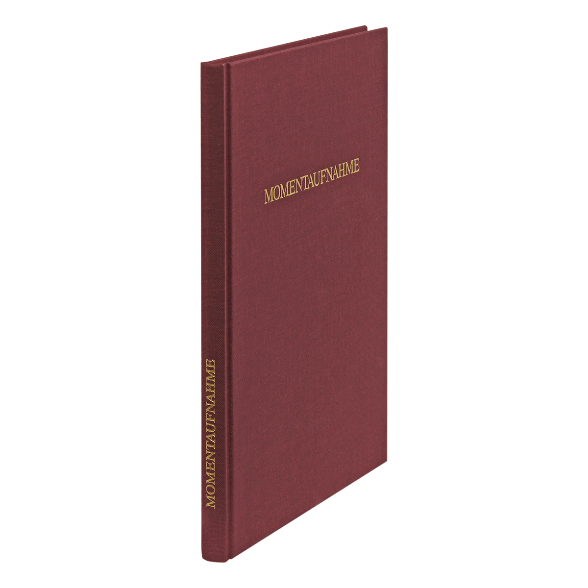 Momentaufnahme